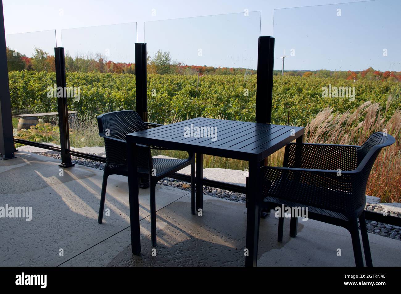Vue sur le vignoble avec table à manger dans le patio extérieur avec dégustation de vins Banque D'Images