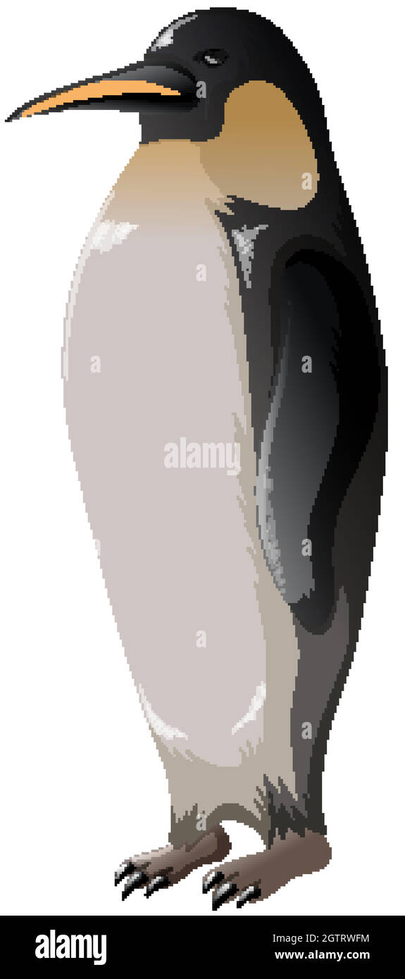 Un pingouin debout sur fond blanc Illustration de Vecteur