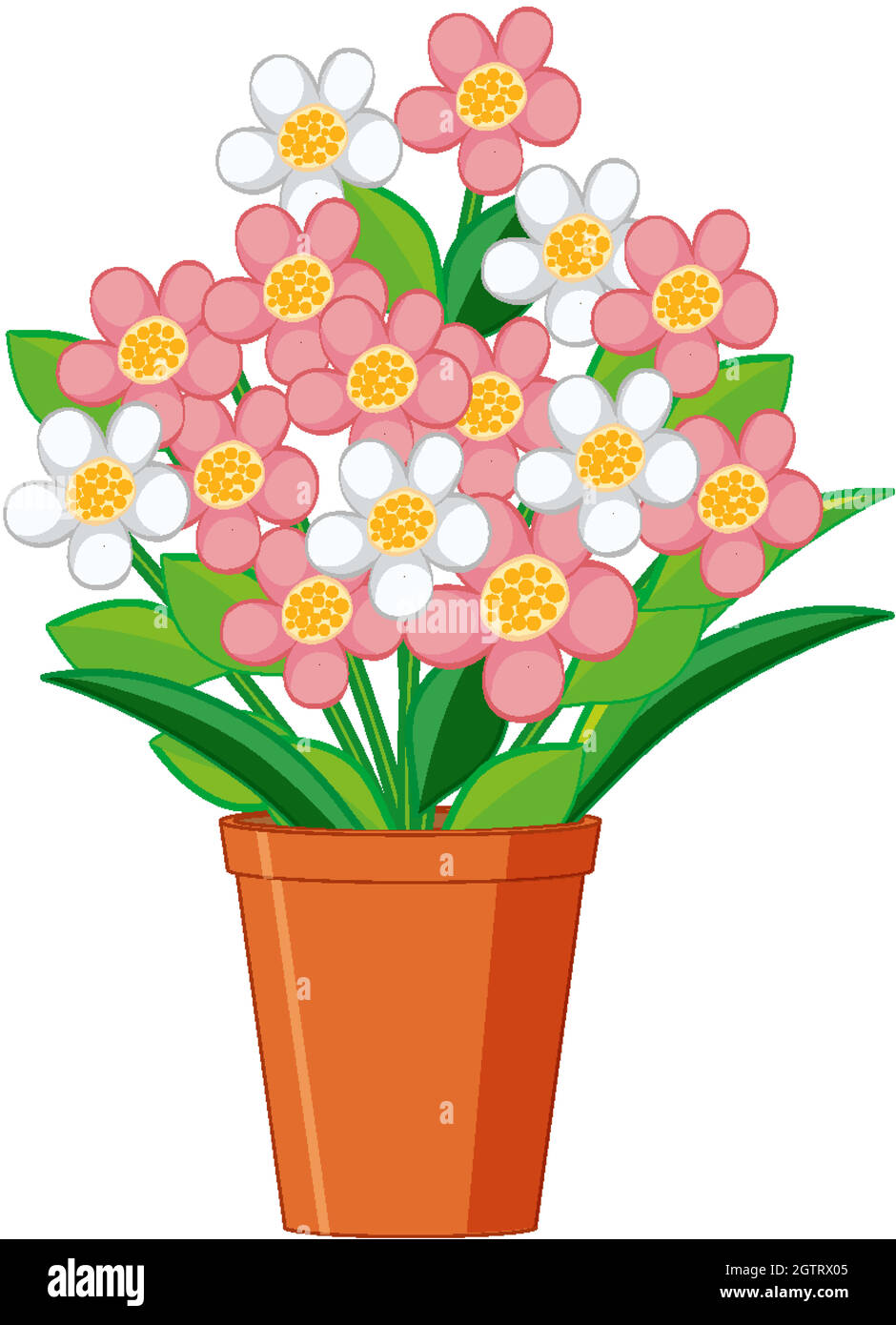 Belles fleurs en pot d'argile sur fond blanc Illustration de Vecteur