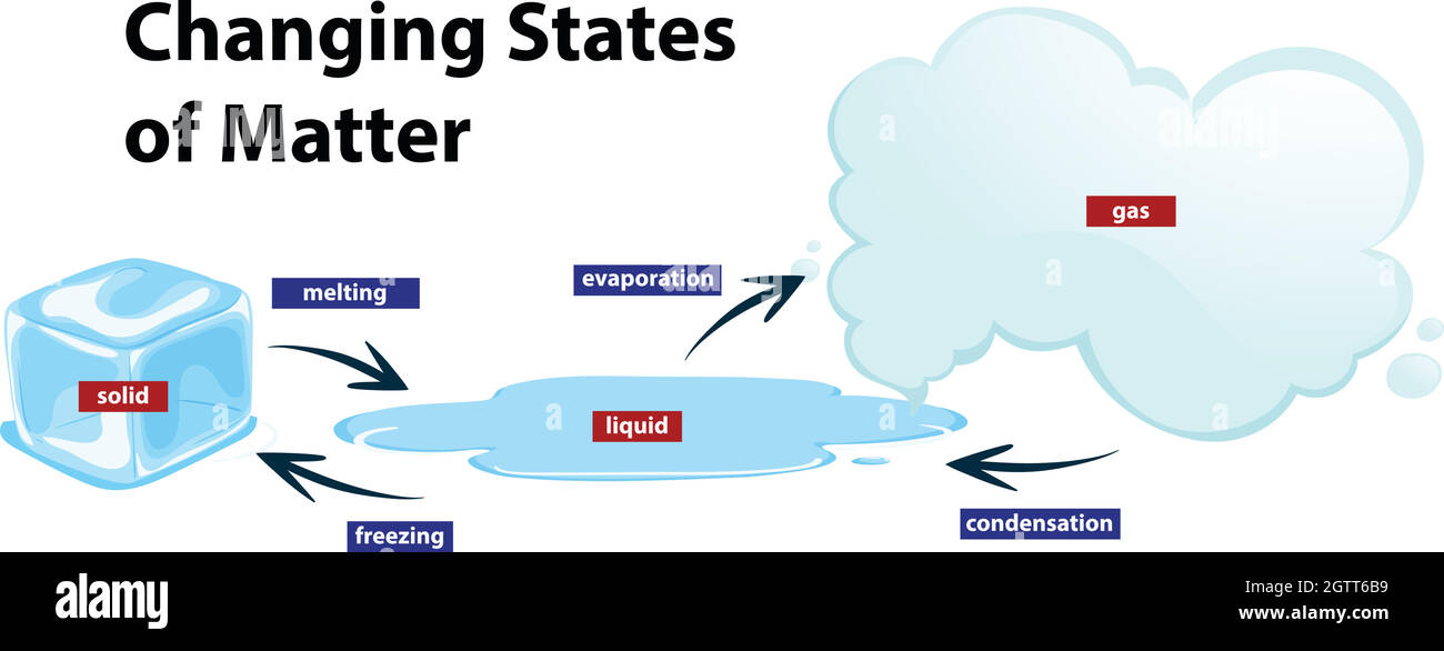 Diagramme montrant les changements d'état de la matière Illustration de Vecteur