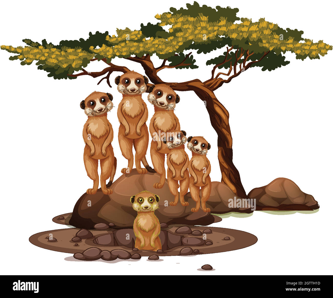 Meerkat isolé sur fond blanc Illustration de Vecteur