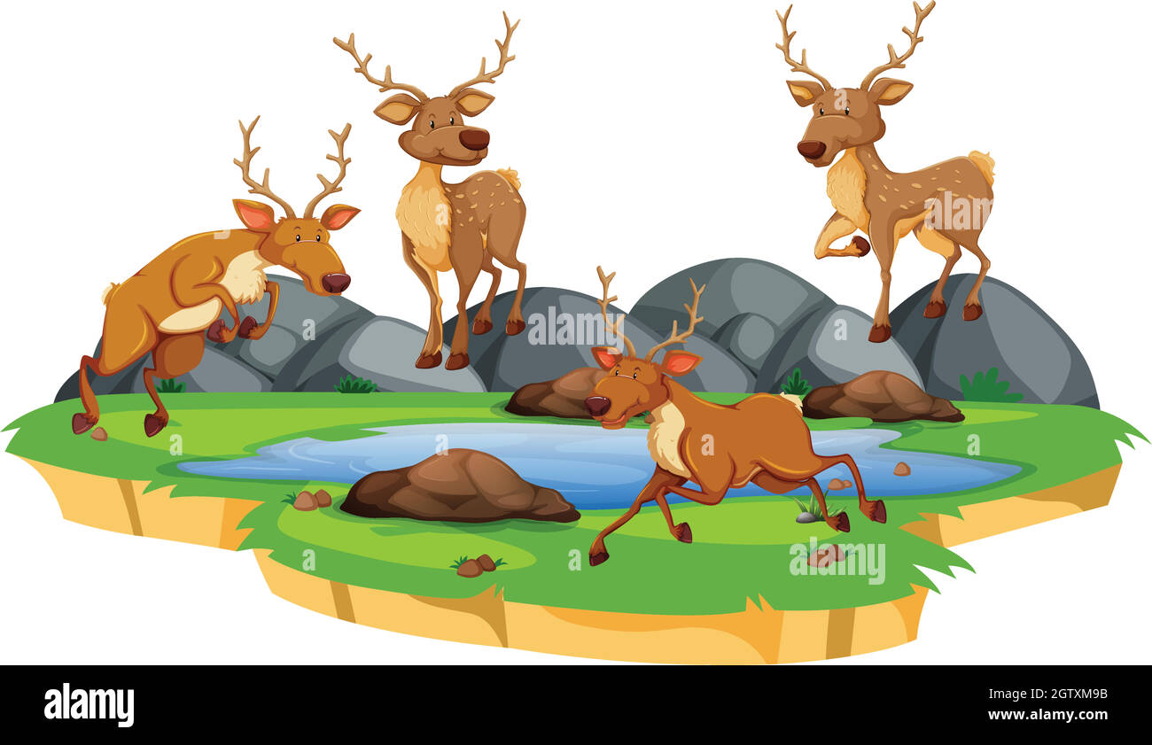 Groupe de cerfs à l'étang Illustration de Vecteur