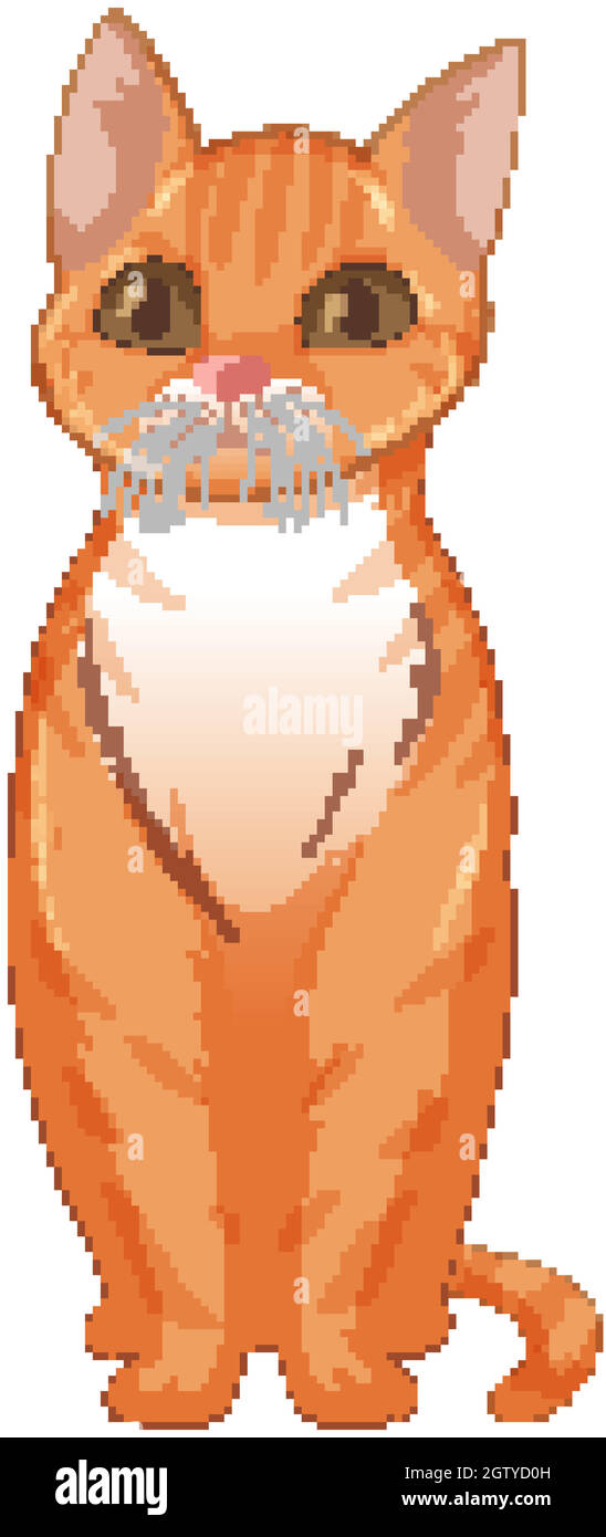 Chat Orange Mignon Assis Seul Isole Sur Fond Blanc Image Vectorielle Stock Alamy