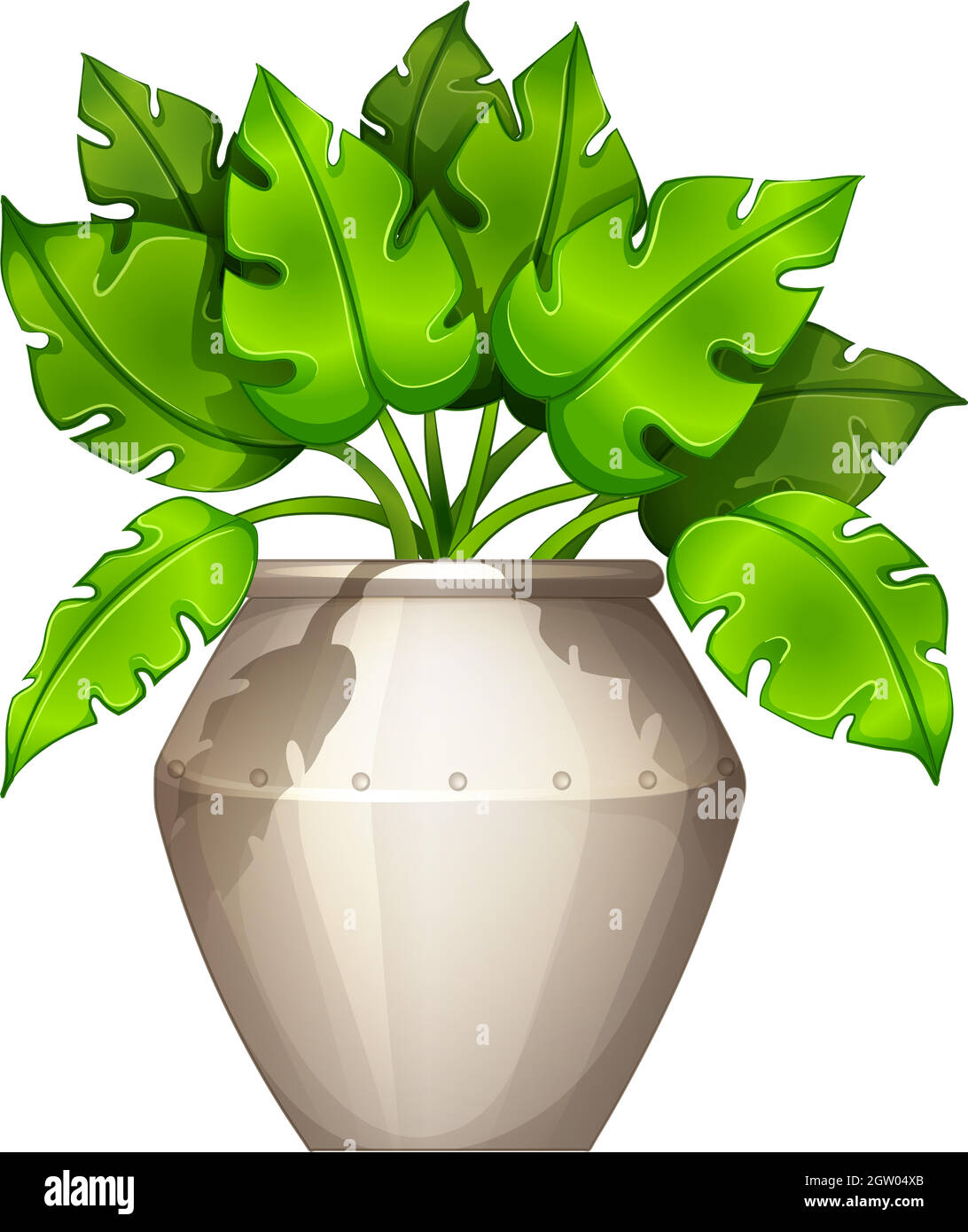 Une plante avec des feuilles en forme de coeur Illustration de Vecteur