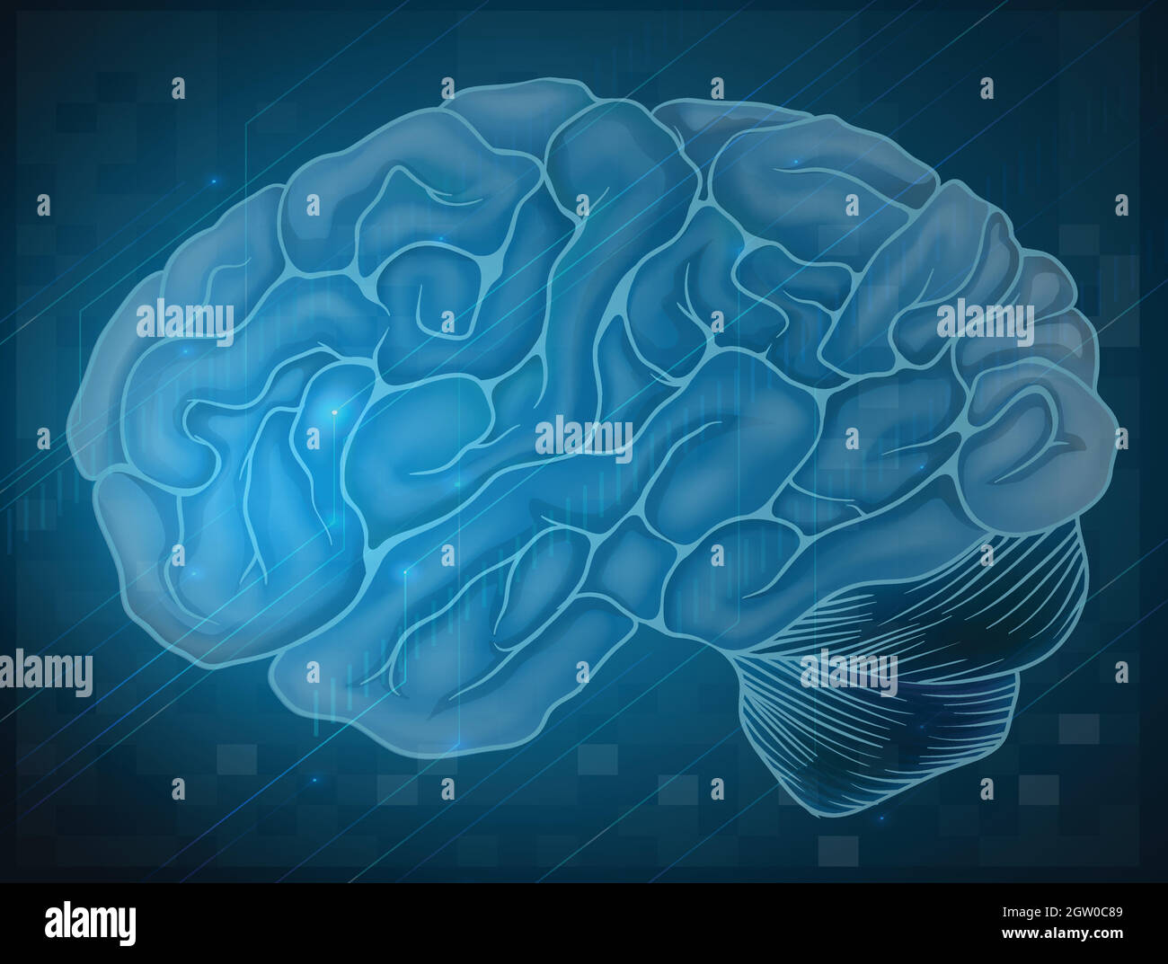 Page De Garde Cerveau Anatomie du cerveau cortex Banque d'images vectorielles - Page 2 - Alamy