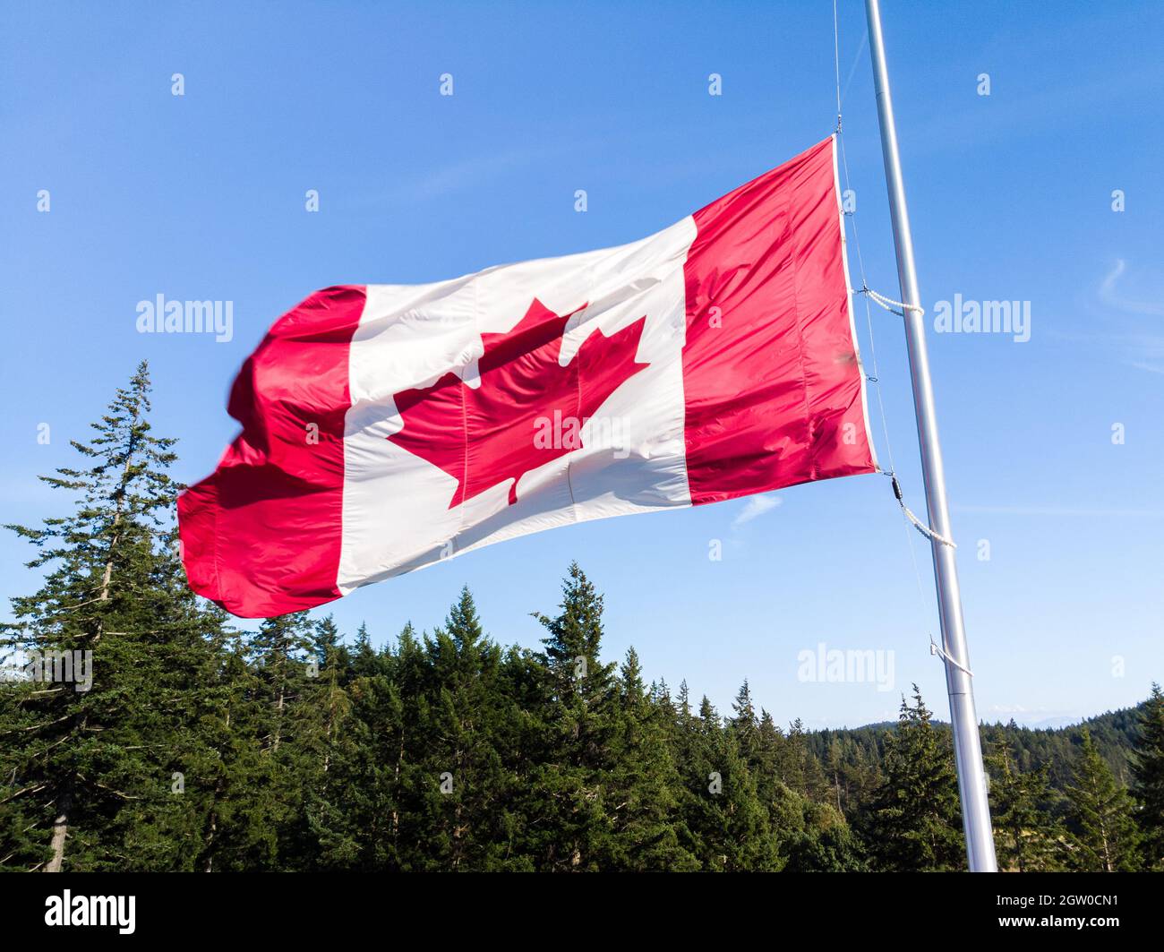 Drapeau canadien contre un ciel bleu et une forêt. Banque D'Images