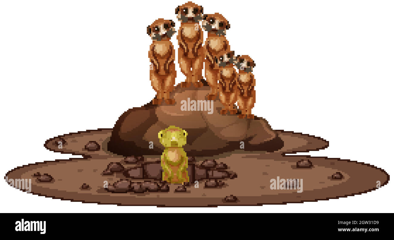 Groupe de meerkats souriant sur le rocher Illustration de Vecteur