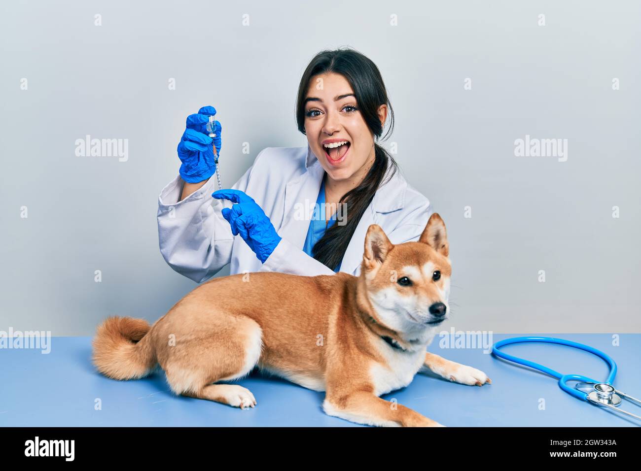 Belle femme vétérinaire hispanique mettant le vaccin à chien de chiot célébrant fou et stupéfié pour le succès avec les yeux ouverts criant excité. Banque D'Images