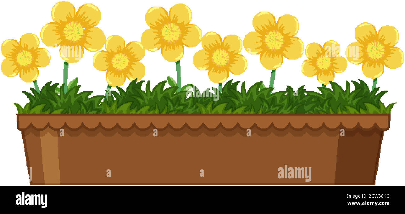 Belles fleurs en pot sur fond blanc Illustration de Vecteur