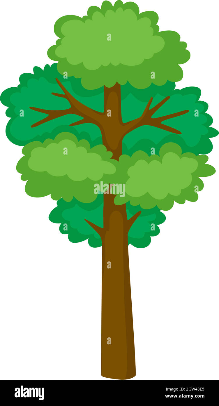 Grand arbre sur fond blanc Illustration de Vecteur