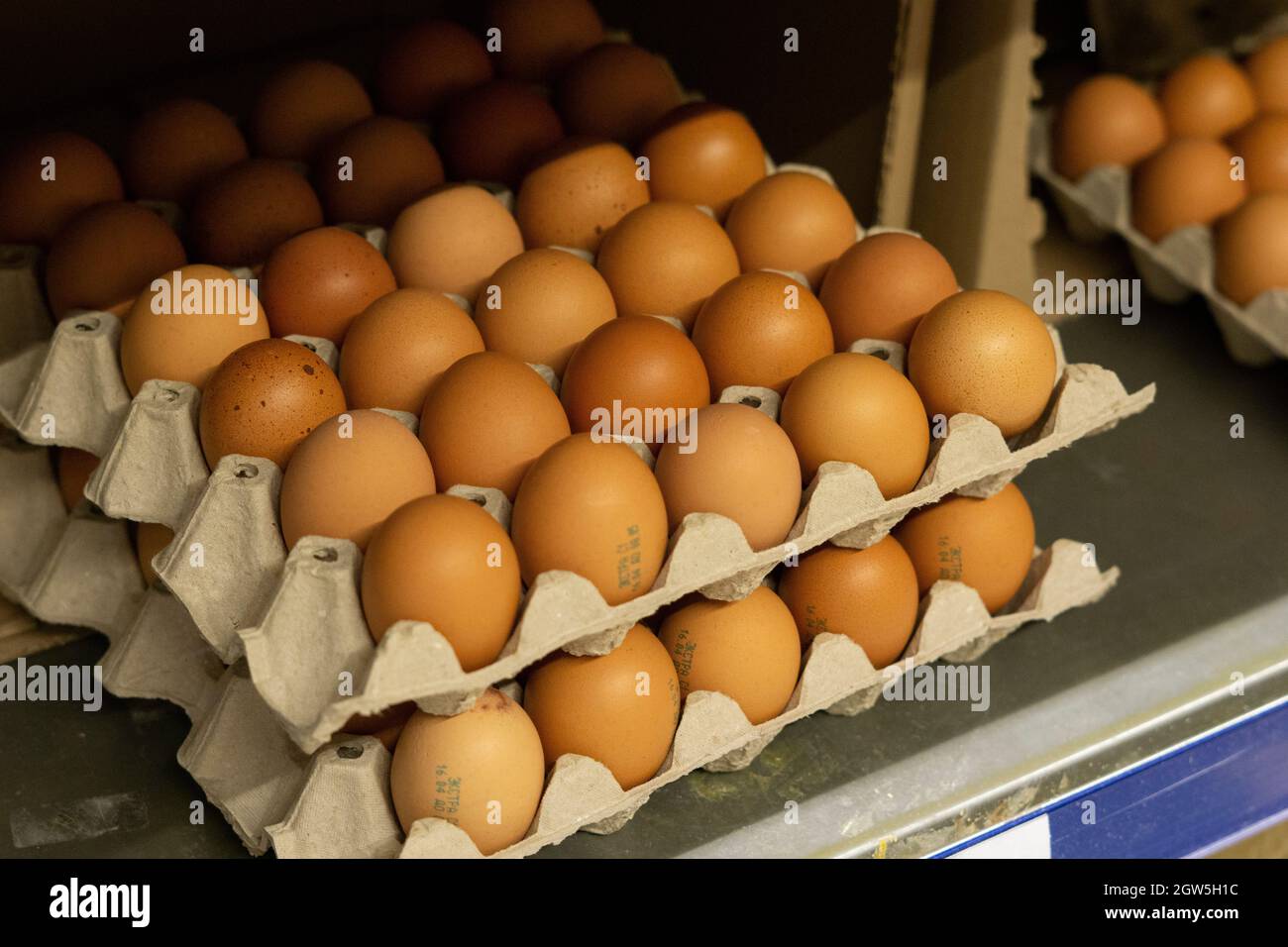Brunissez les œufs de poulet frais de la ferme gros plan dans des plateaux  d'œufs en carton sur les étagères d'Un magasin à vendre Photo Stock - Alamy