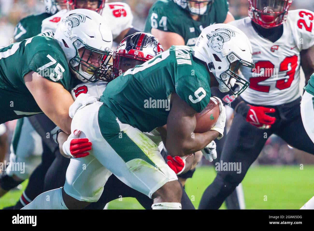 East Lansing, Michigan, États-Unis. 2 octobre 2021. L'État du Michigan reprend Kenneth WALKER III (9) et remporte le ballon lors de la victoire de l'État du Michigan sur le Kentucky de l'Ouest en 48-31 au Spartan Stadium. (Image de crédit : © Scott Mapes/ZUMA Press Wire) Banque D'Images