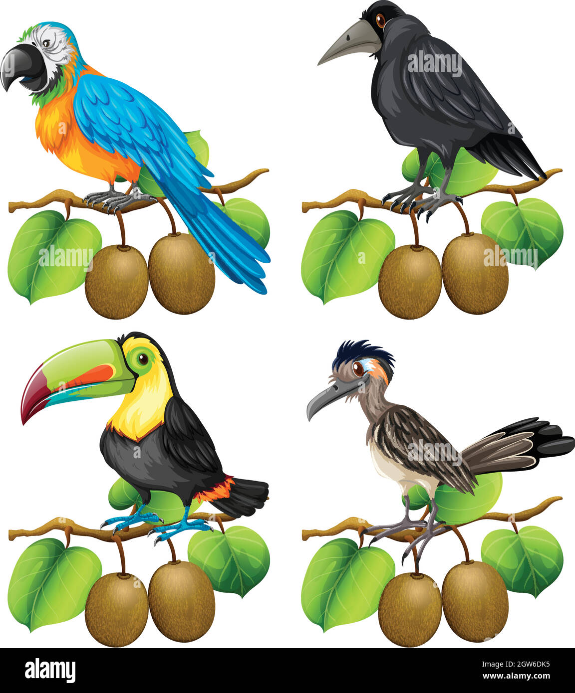 Différents types d'oiseaux sur la branche de kiwi Illustration de Vecteur