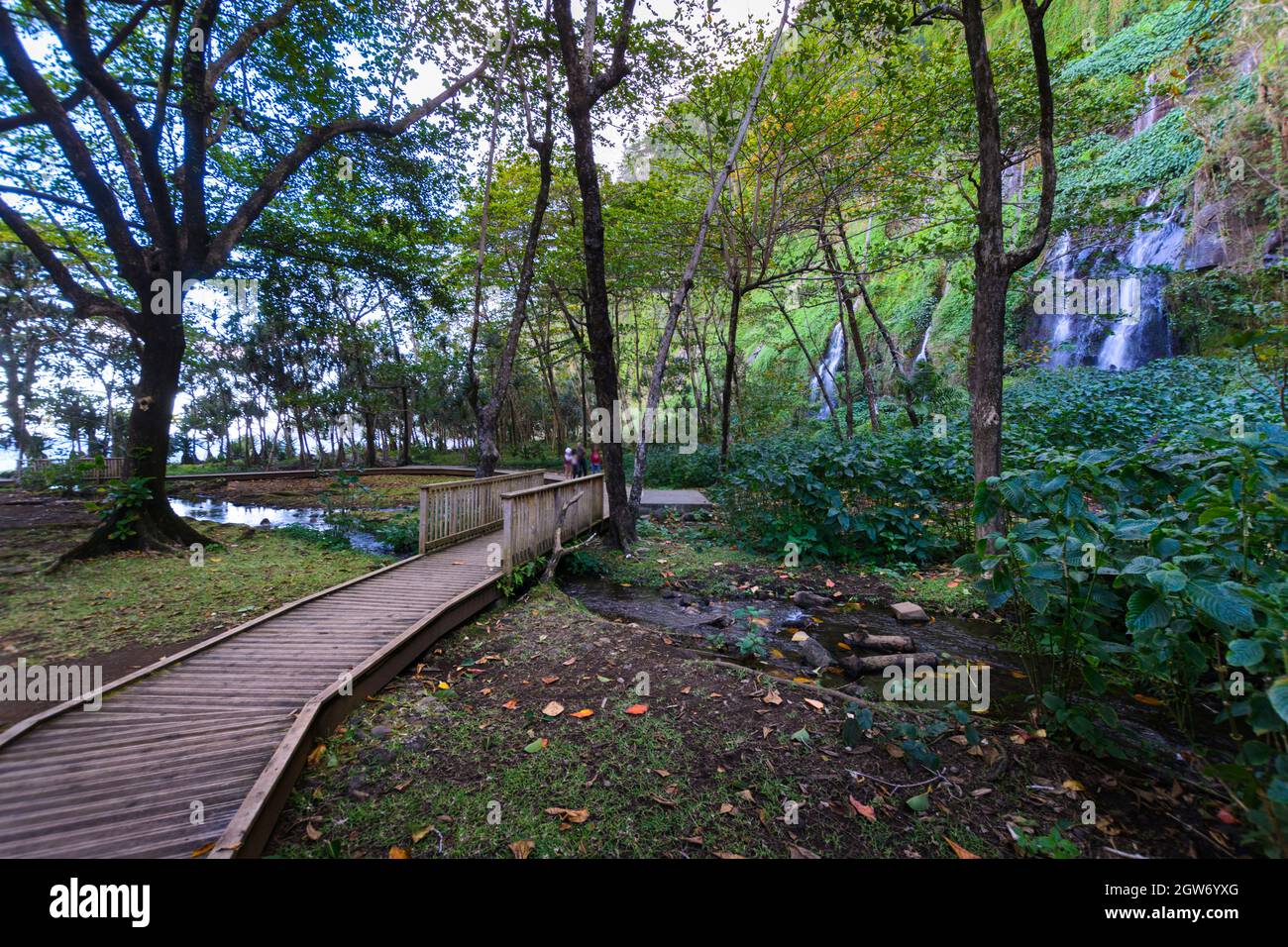 Site touristique sous-bois à Anse des Cascades près de la ville de Sainte Rose, Île de la Réunion Banque D'Images