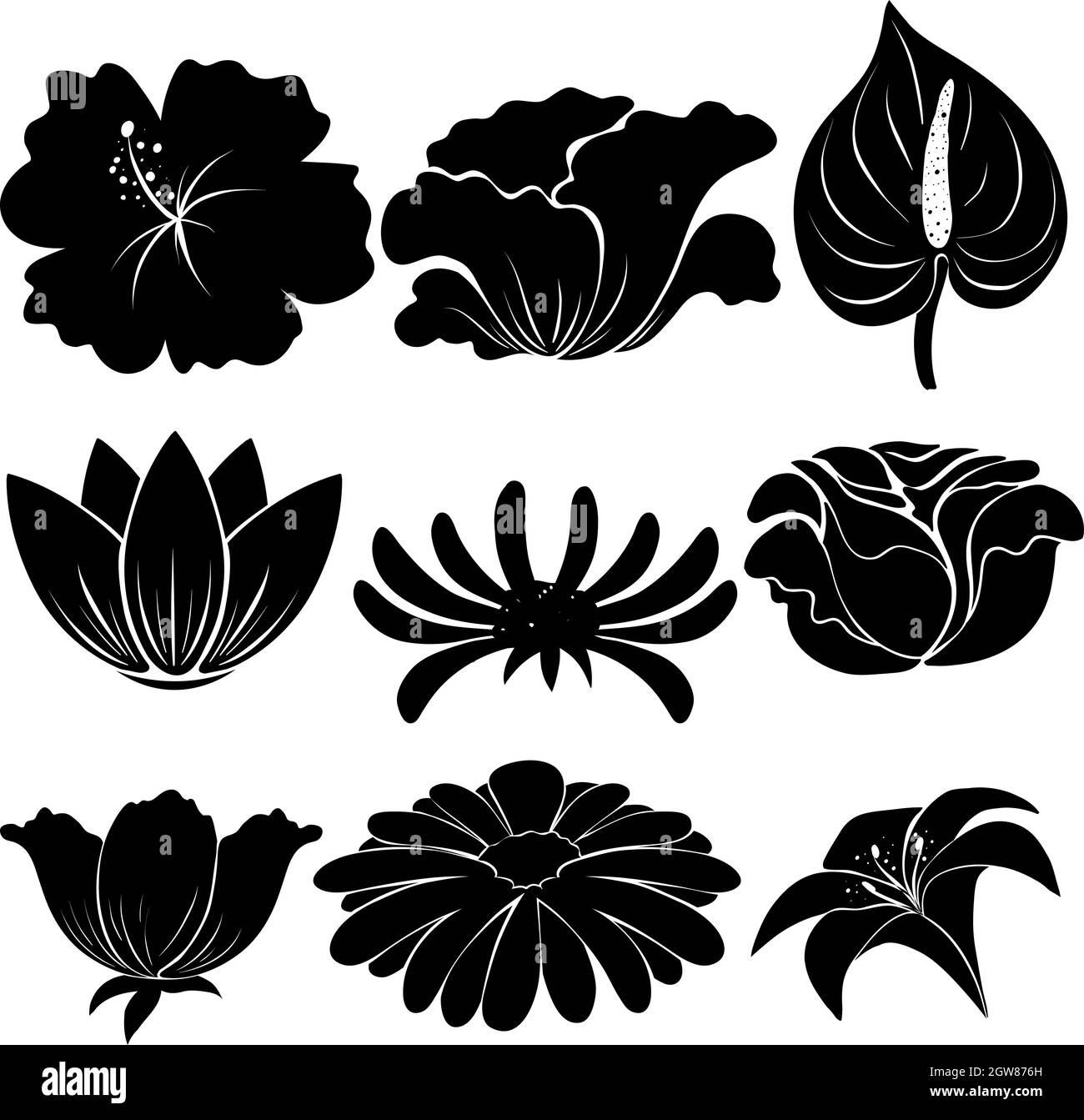 Plantes noires Illustration de Vecteur
