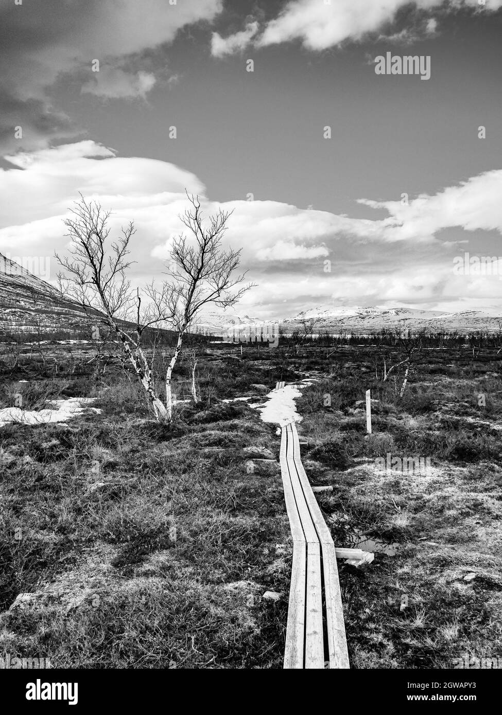 Paysage dans le parc national d'Abisco en Laponie Nord-Suède Banque D'Images
