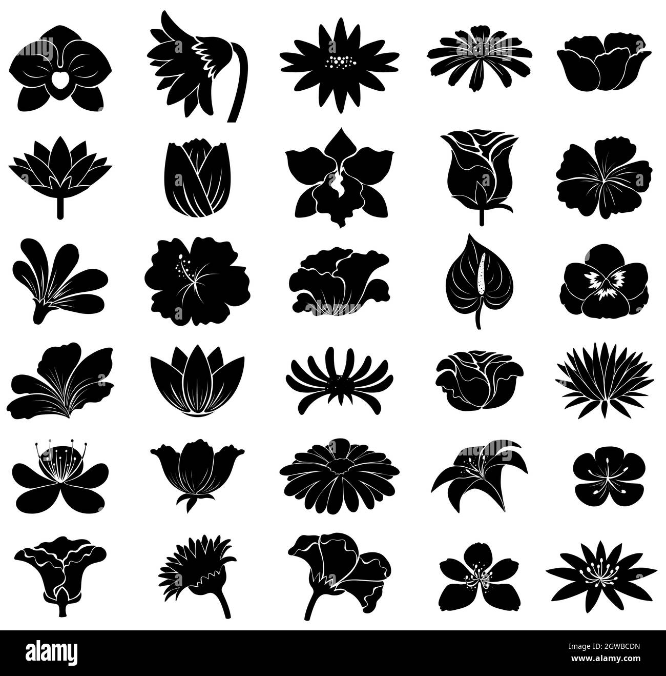 Modèles à motif floral noir Illustration de Vecteur