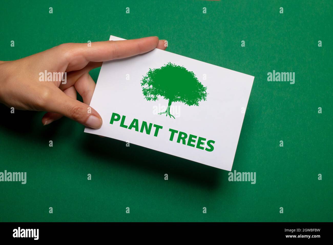 la main femelle tient un morceau de papier avec l'inscription arbres végétaux en vert écrit sur fond vert fort carton Banque D'Images