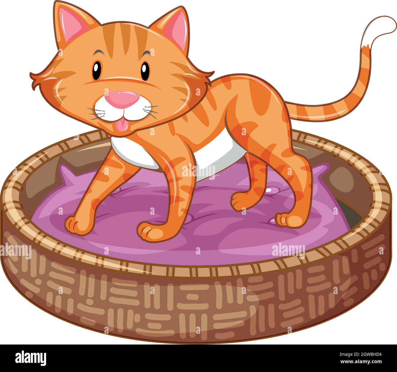 Chat Roux Banque D Images Vectorielles Alamy