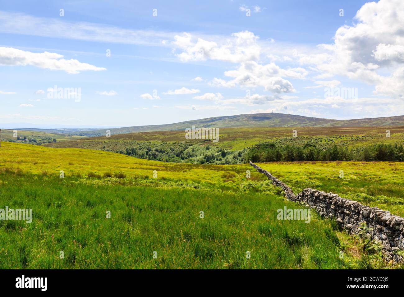 Vieille terre de pierre sèche sur une colline de landes écossaises Banque D'Images