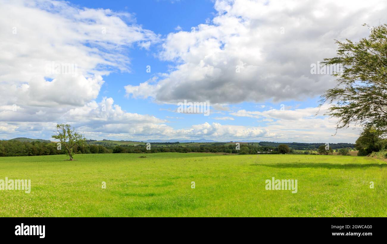 En été, vue sur les terres agricoles écossaises avec les montagnes de Cumbria au loin Banque D'Images