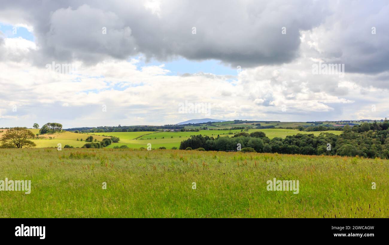 Vue sur les terres agricoles écossaises avec la petite montagne connue sous le nom de criffel au loin Banque D'Images