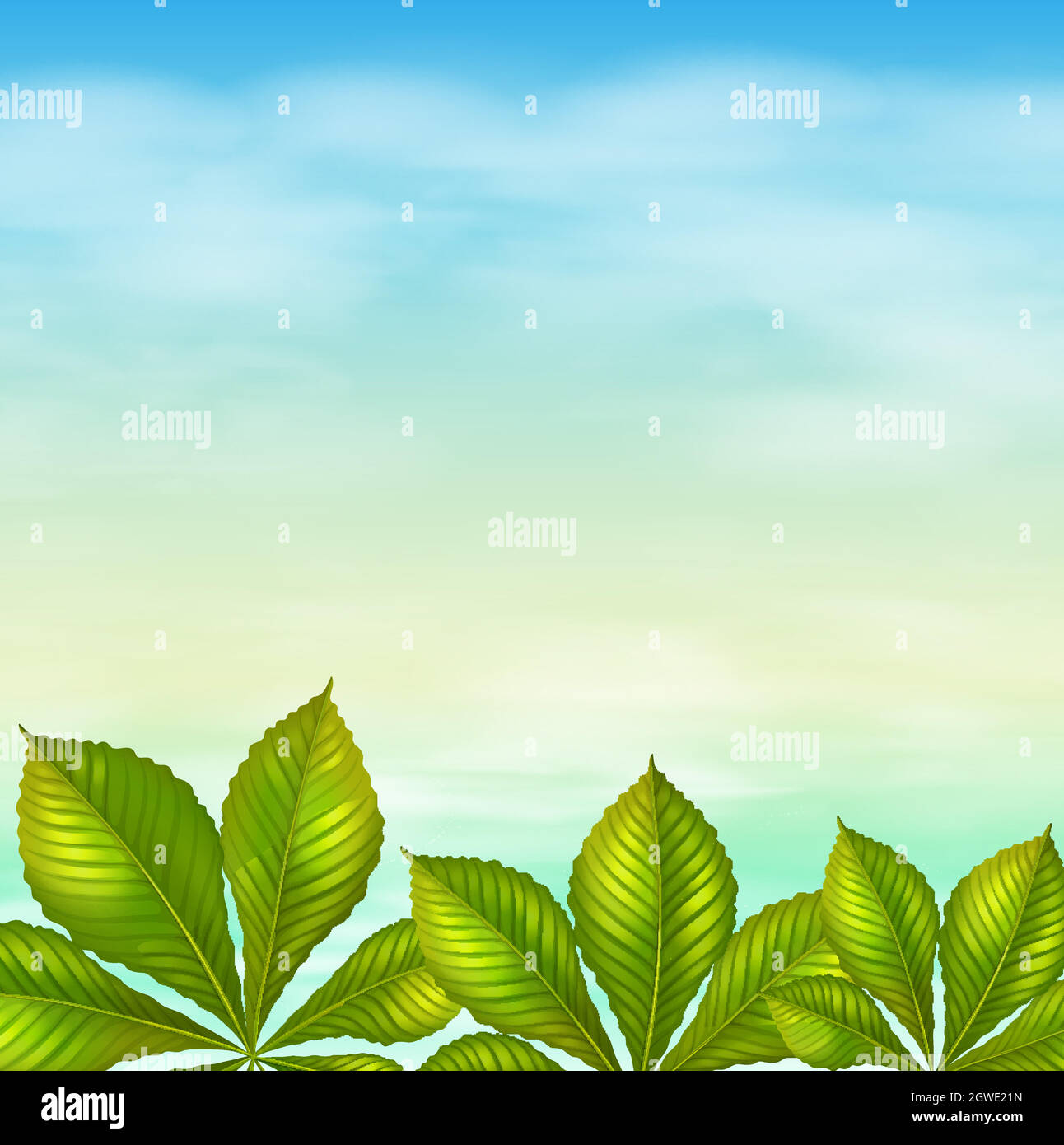 Un ciel bleu clair et les feuilles vertes Illustration de Vecteur