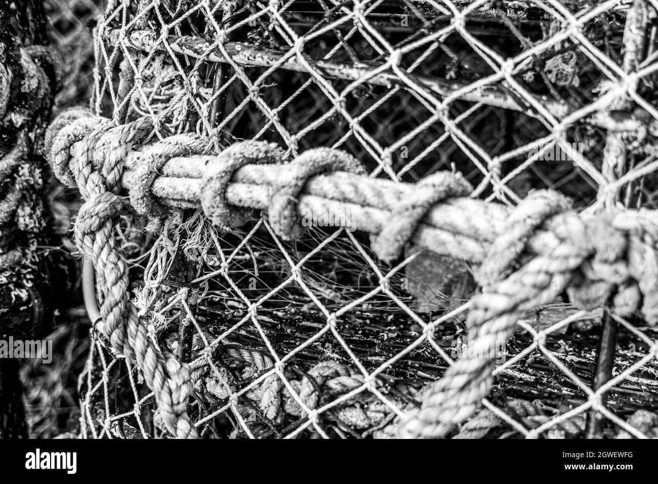 Pots et cordes de homard et de crabe gros plan vue de bas niveau pour la pêche nautique texture industrielle motifs d'arrière-plan image monochrome Banque D'Images