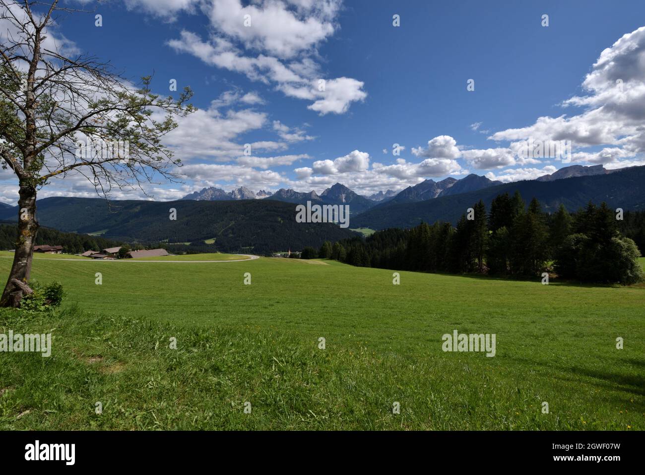 Grandes forêts de Val Casies en face des sommets des Dolomites Banque D'Images