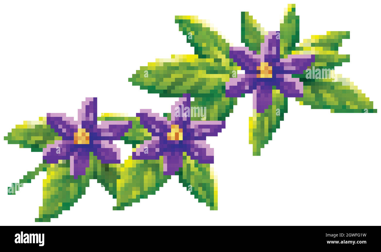 Fleurs violettes sur feuilles vertes Illustration de Vecteur