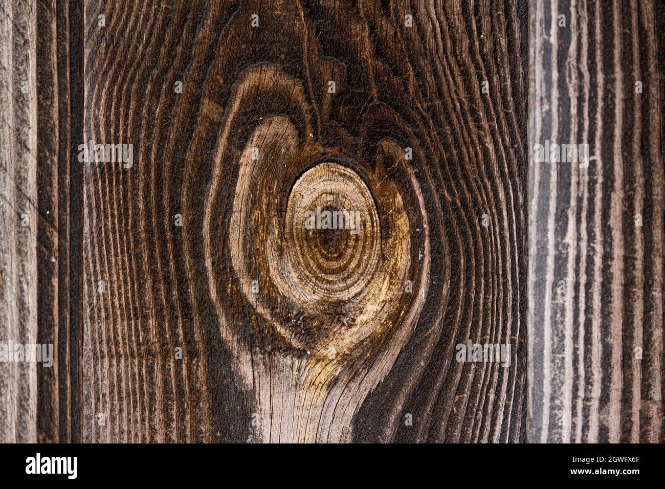 Étude des beaux motifs de grain dans un panneau de bois Banque D'Images