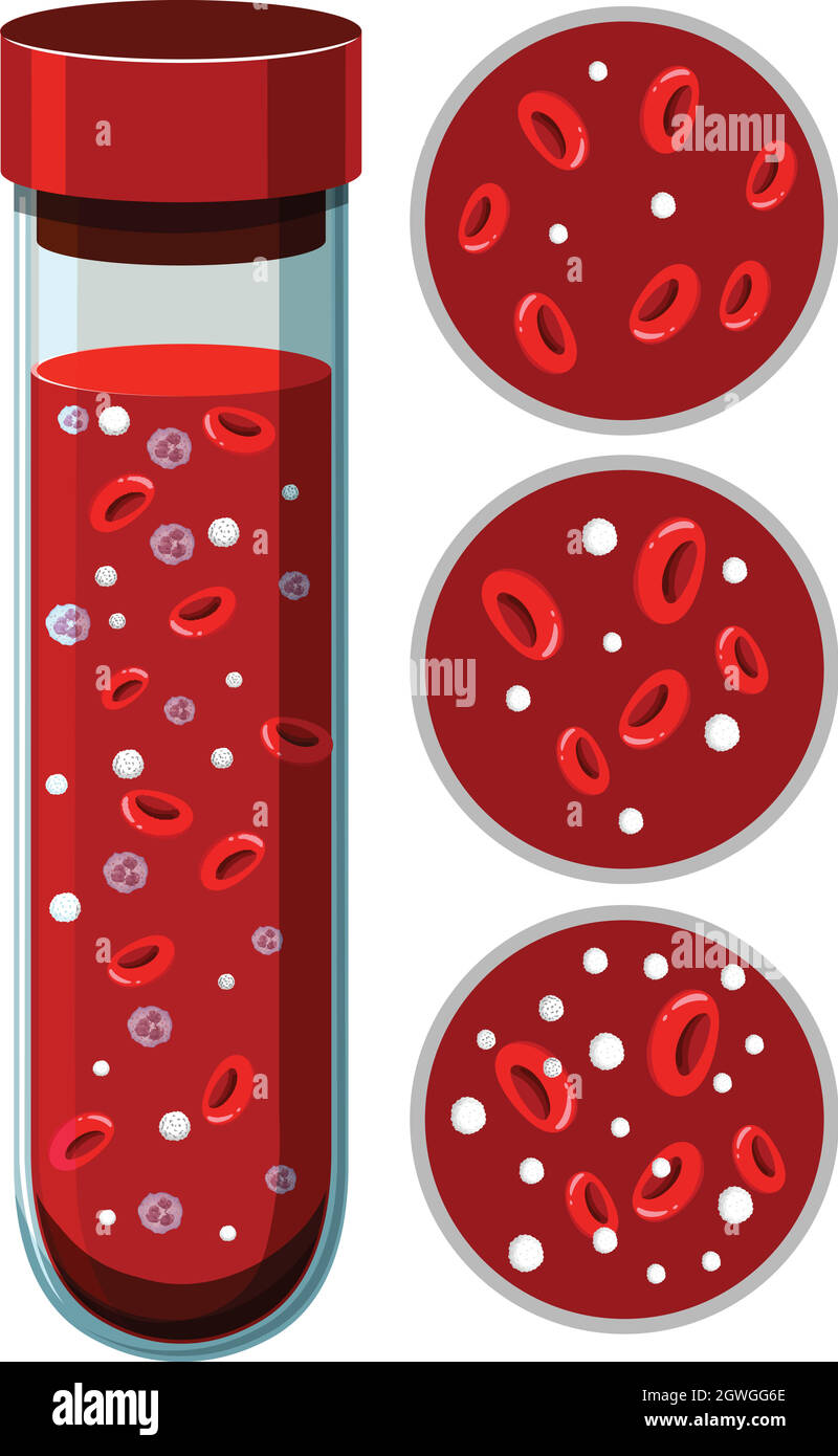 Un vecteur de plaquettes sanguines Illustration de Vecteur