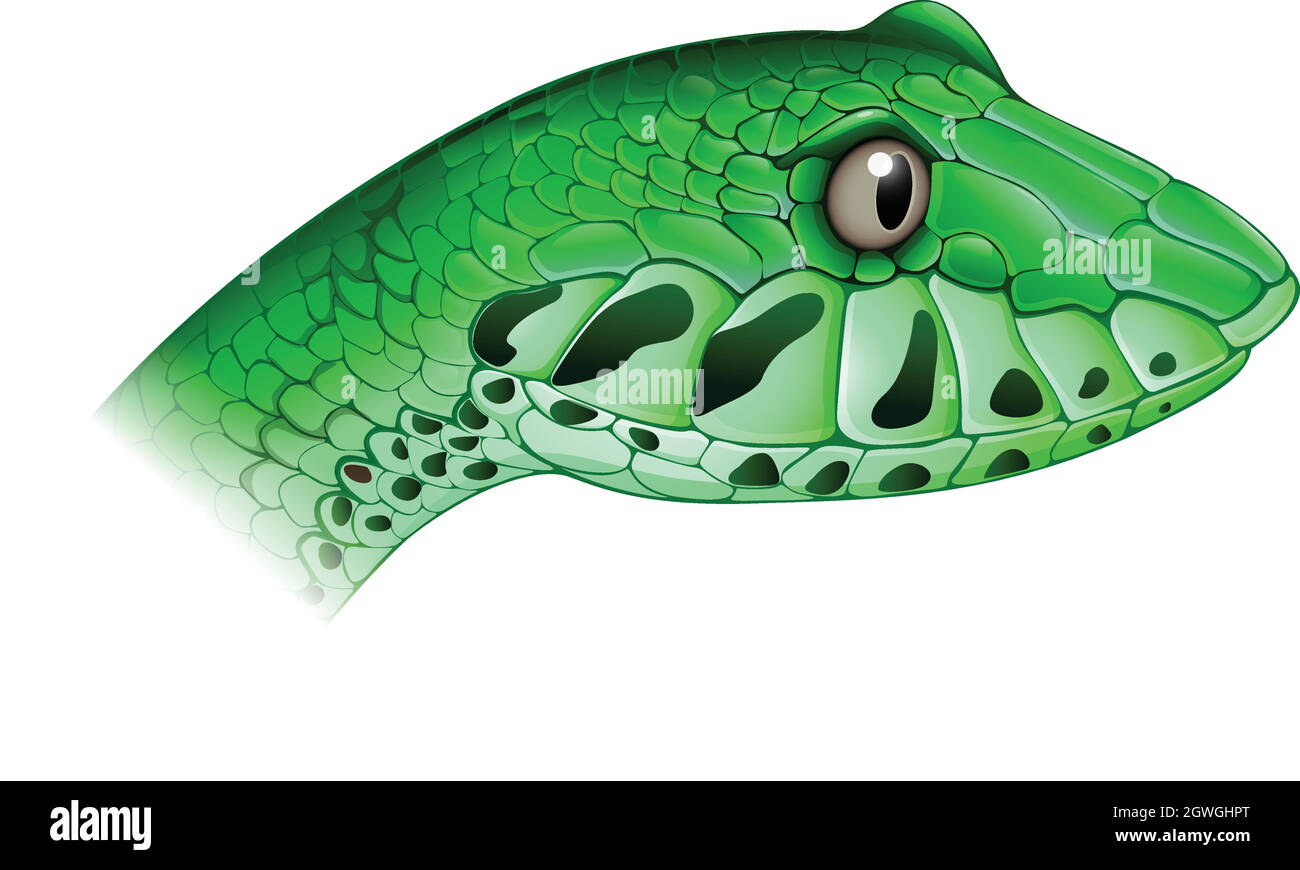 Un serpent effrayant Illustration de Vecteur