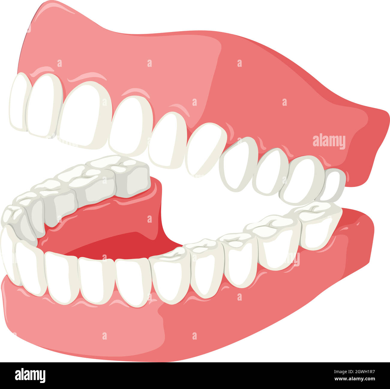 Thème dentaire avec modèle de dents Illustration de Vecteur