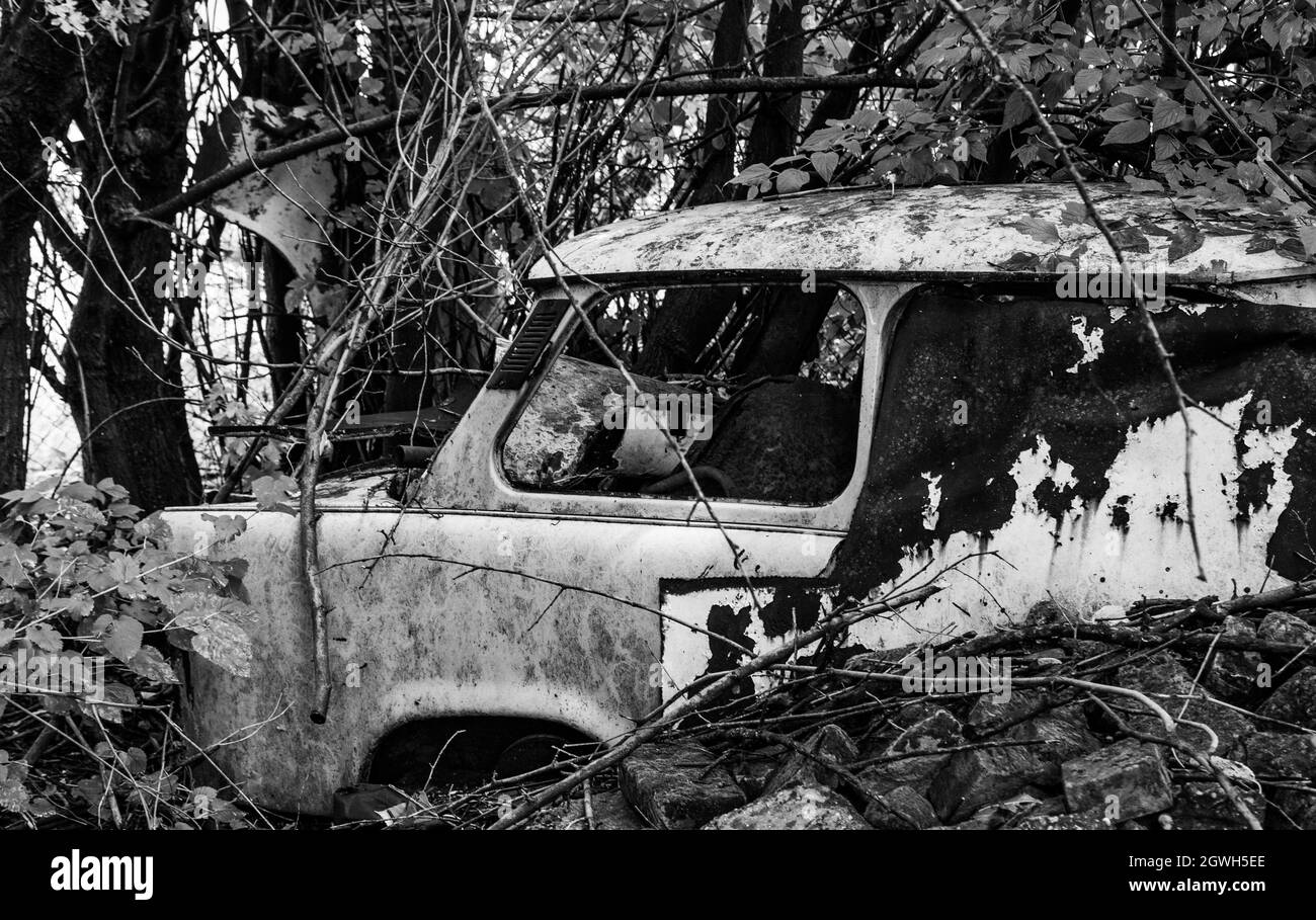 Un cliché monochrome d'une vieille voiture rouillée abandonnée laissée dans la forêt Banque D'Images