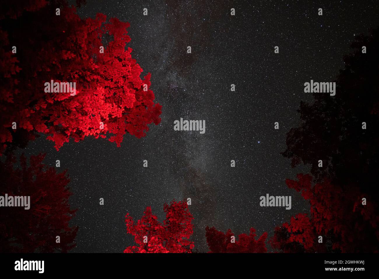 Ciel nocturne près de Mont-Mégantic, la première réserve internationale de ciel sombre au monde Banque D'Images