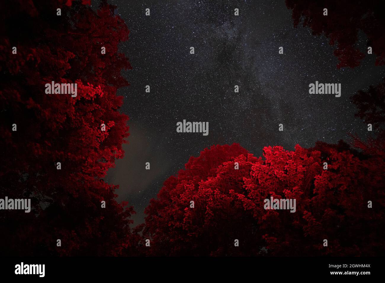 Ciel nocturne près de Mont-Mégantic, la première réserve internationale de ciel sombre au monde Banque D'Images