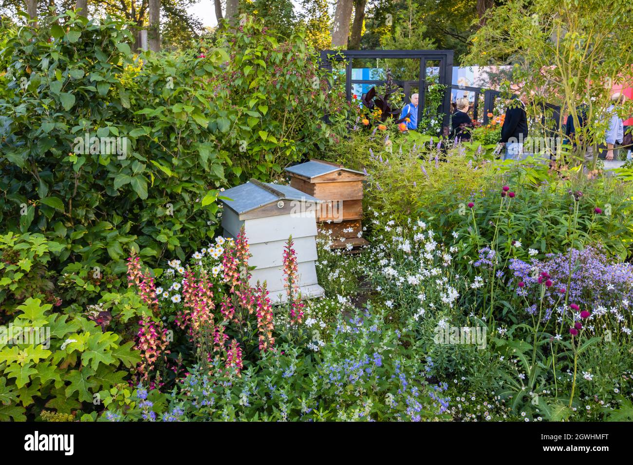 RHS COP26 Garden for Protecting BIODIVERSITE and Climate change, RHS Chelsea Flower Show, Royal Hospital Chelsea, London SW3, septembre 2021 Banque D'Images