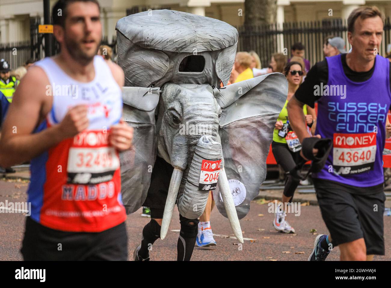 Londres, Royaume-Uni. 03ème octobre 2021. Le coureur Tom Langdown en costume d'éléphoant, sensibilisant le David Sheldrick Wildlife Trust. Les coureurs de masse, dont beaucoup sont en costume, sur le dernier kilomètre à Birdcage Walk. Après une absence de 2 ans, le Virgin Money London Marathon est de retour à son parcours traditionnel de Blackheath au Mall. Il est prévu d'être le plus grand marathon organisé n'importe où, avec plus de 40,000 participants, et un nombre similaire de terminer le marathon virtuel sur un parcours de leur choix simultanément. Credit: Imagetraceur/Alamy Live News Banque D'Images