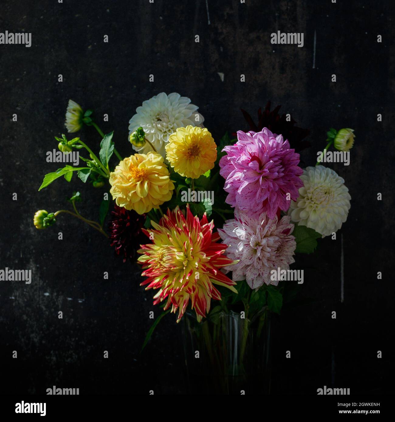 Belle, coloré arrangement de fleurs d'été, bouquet. En arrière-plan se trouve un vieux mur brun foncé, avec de la peinture blanche. Fleurs d'anniversaire. Silli Banque D'Images
