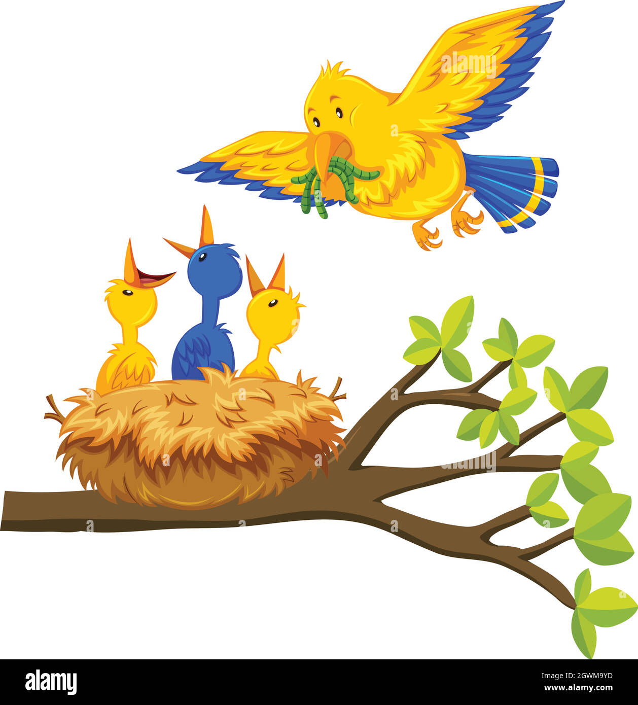 Oiseau nourrissant bébé oiseau Illustration de Vecteur