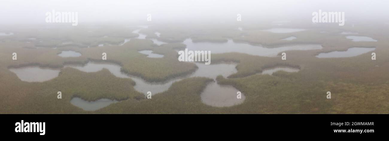Le brouillard coule sur un vaste marais salé de Pleasant Bay, Cape Cod, Massachusetts. Ce type d'habitat est une aire d'alimentation vitale pour la faune en migration. Banque D'Images