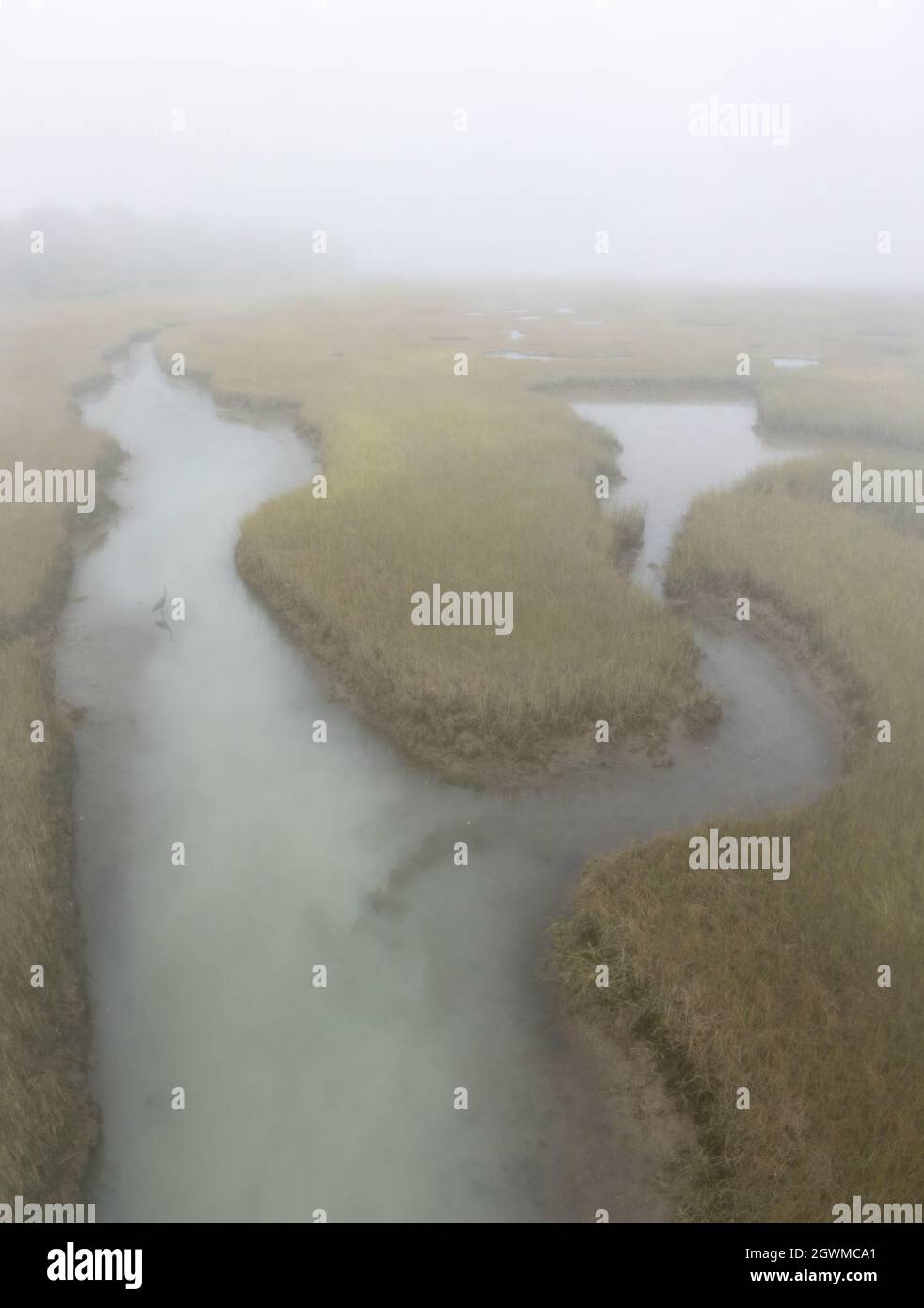 Le brouillard coule sur un vaste marais salé de Pleasant Bay, Cape Cod, Massachusetts. Ce type d'habitat est une aire d'alimentation vitale pour la faune en migration. Banque D'Images