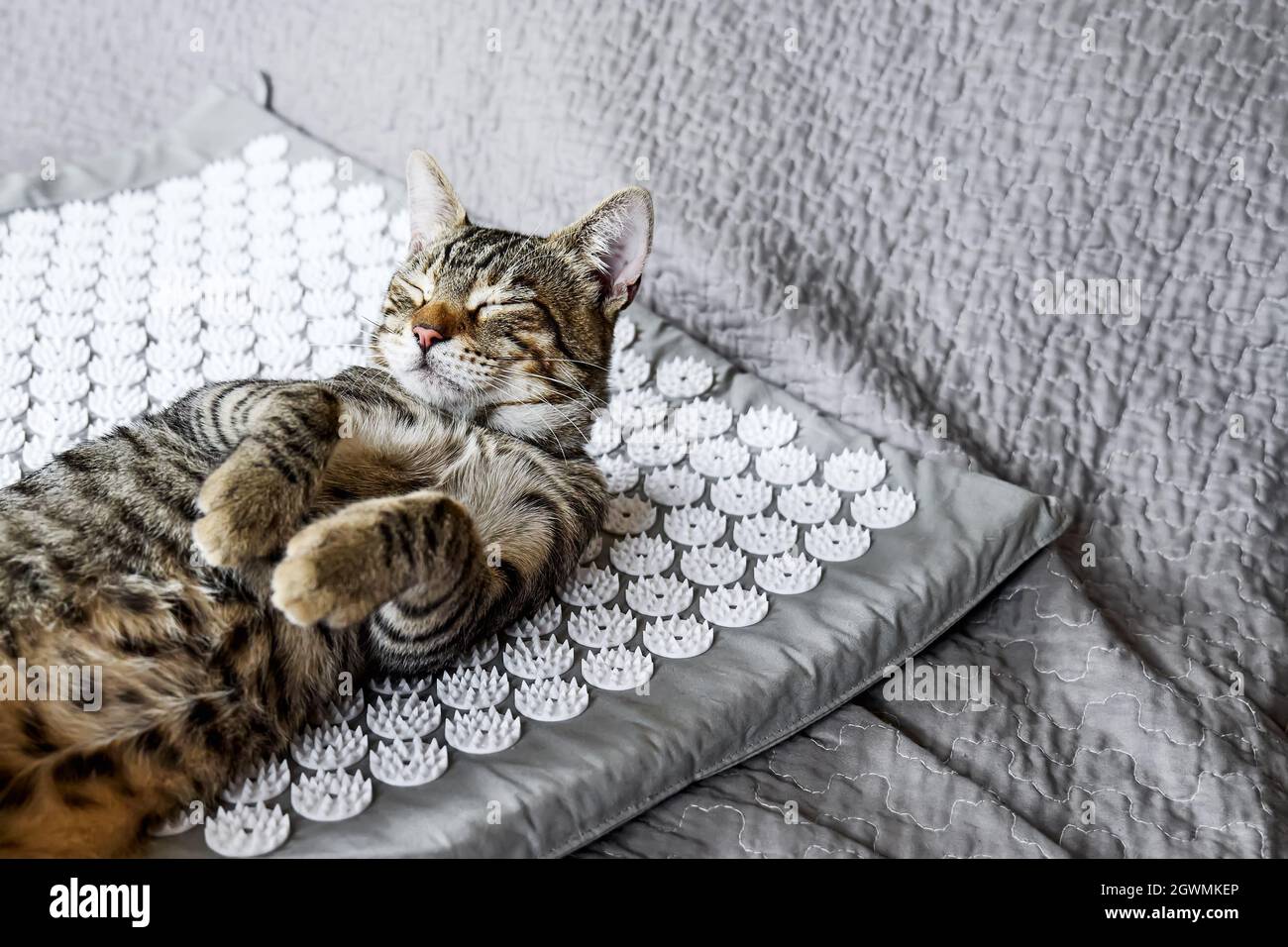 Acupuncture humor Banque de photographies et d’images à haute