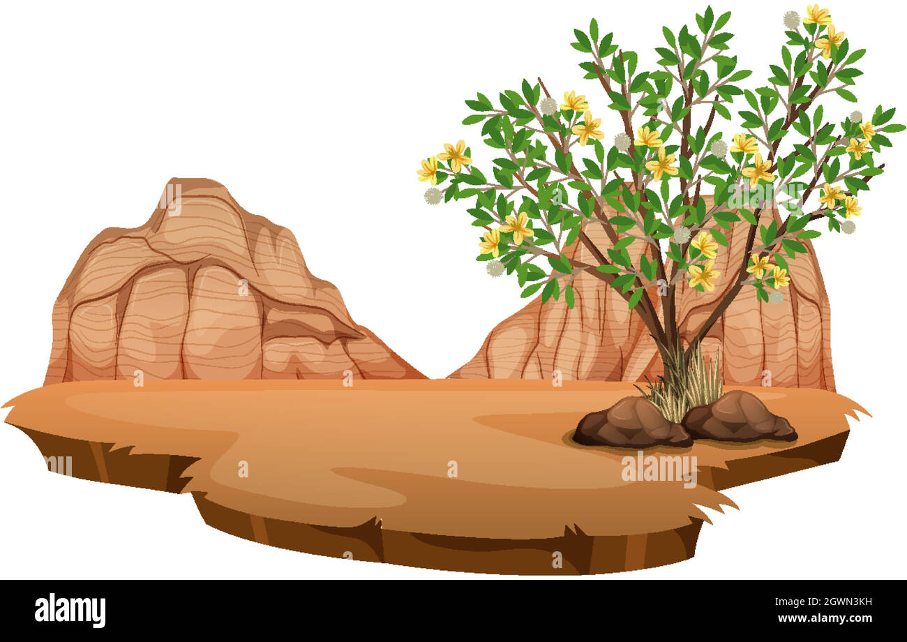 Plante de Bush créosote dans un désert sauvage sur fond blanc Illustration de Vecteur