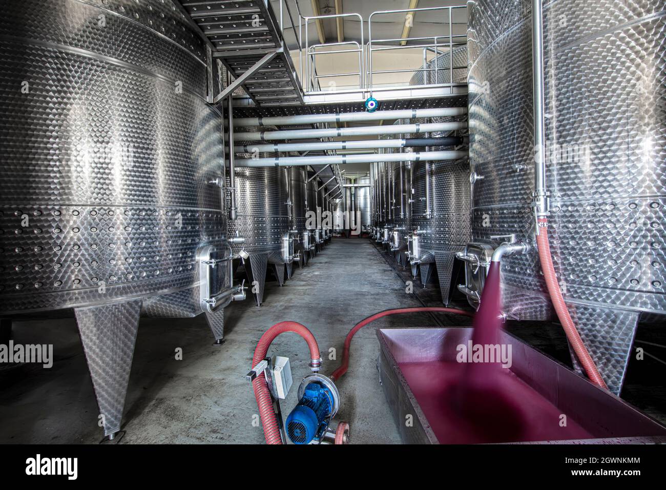 Cave de vinification produisant du vin, Grape ju en réservoir. Cuves de fermentation de vin. Processus de fermentation du vin raisins rouges dans le réservoir de fermentation. Verser du vin dans un réservoir. Banque D'Images