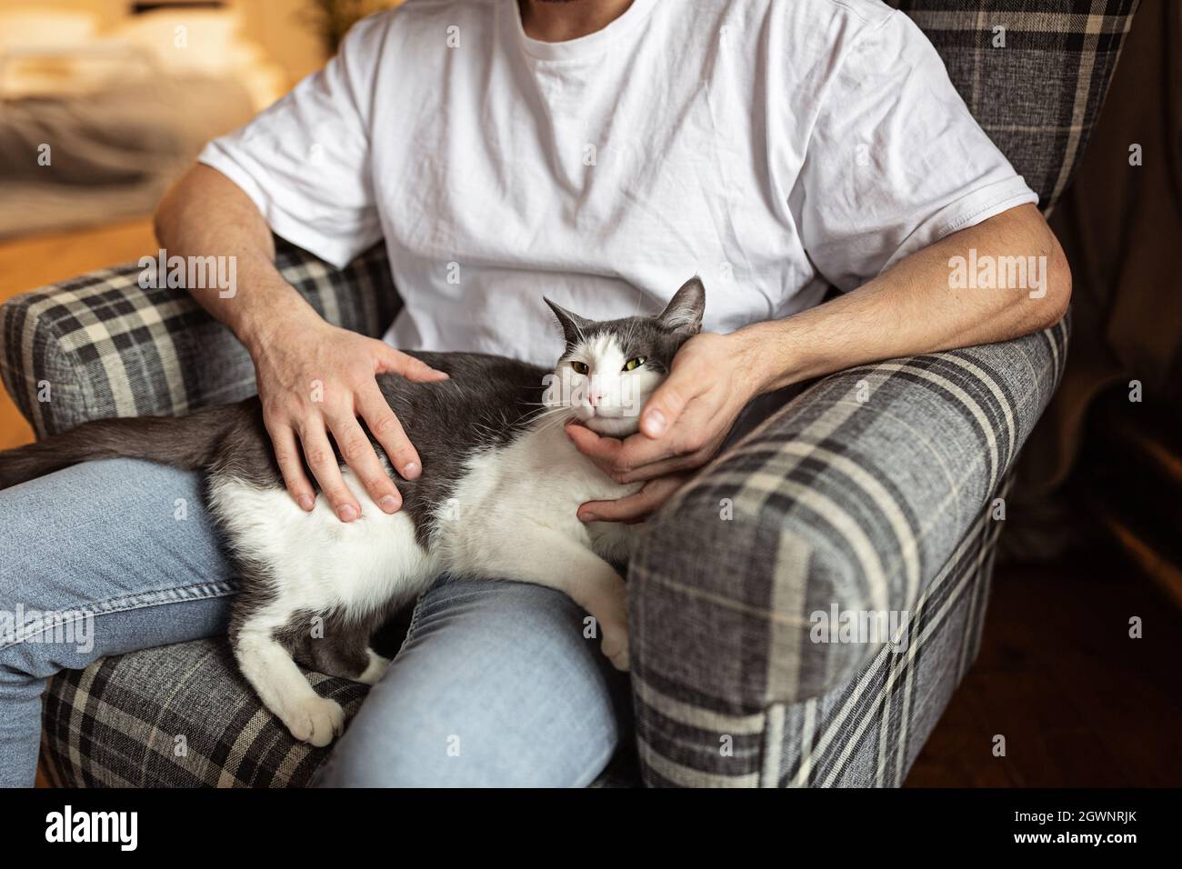 Section Centrale De L Homme Avec Chat Assis Sur La Chaise Photo Stock Alamy