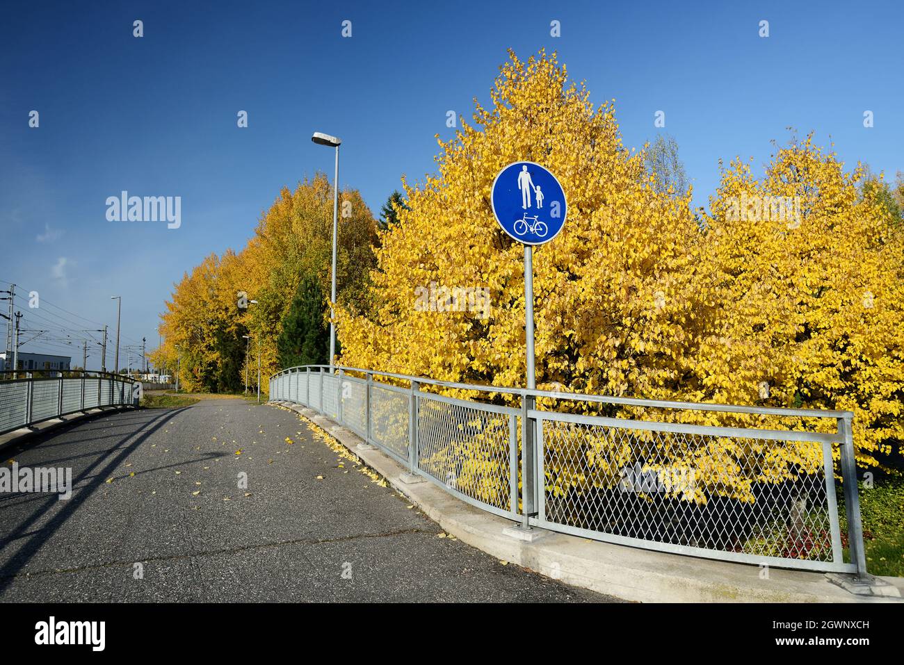 vélo et sentier de randonnée dans le parc en automne Banque D'Images