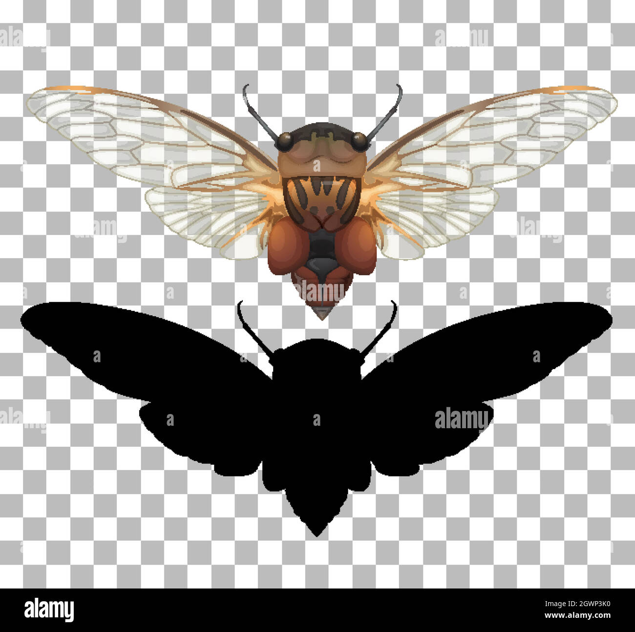 Cicada sur fond transparent Illustration de Vecteur