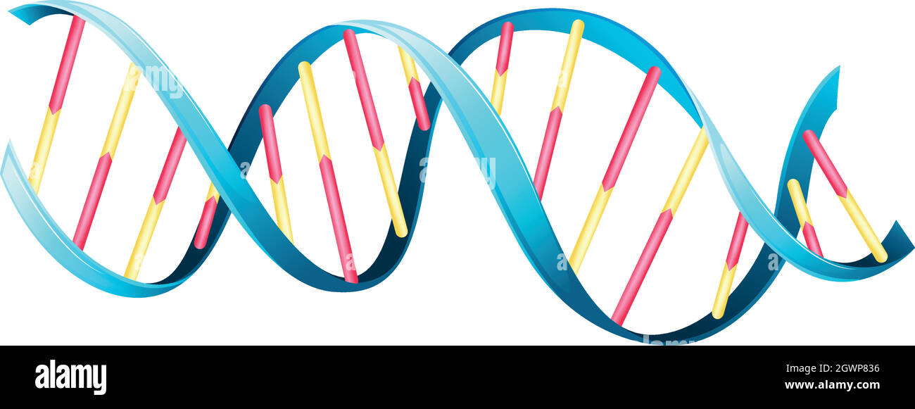 ADN Illustration de Vecteur